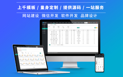 从标准化到量身定制 企业核心管理软件的三种开发模式解析